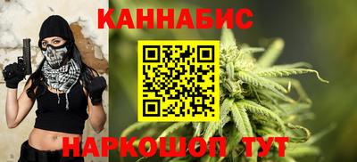 индика Нальчик