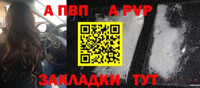индика Нальчик