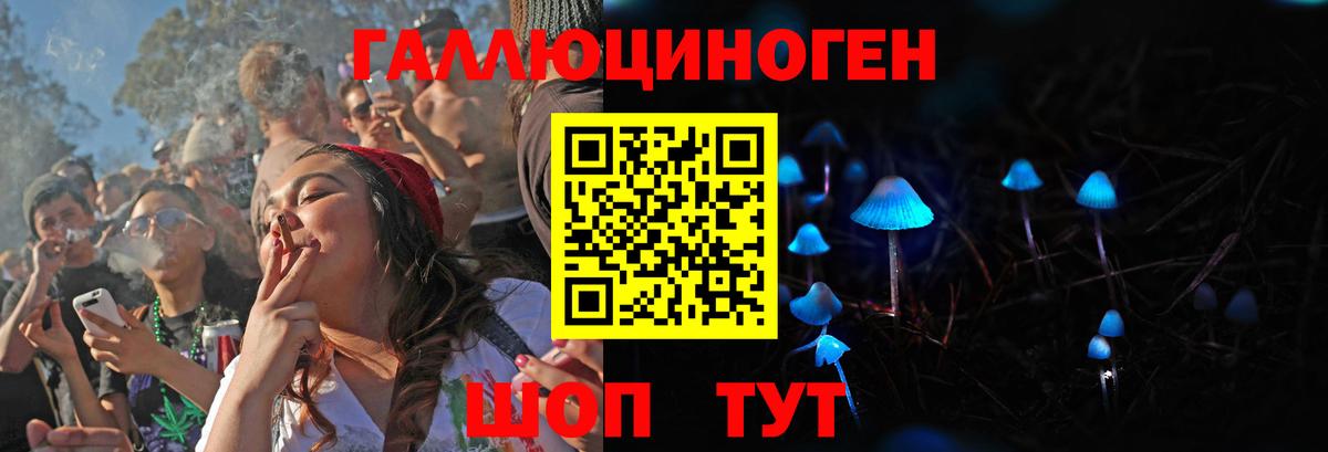 Галлюциногенные грибы Psilocybine cubensis  Вход с VPN  Верхняя Пышма 